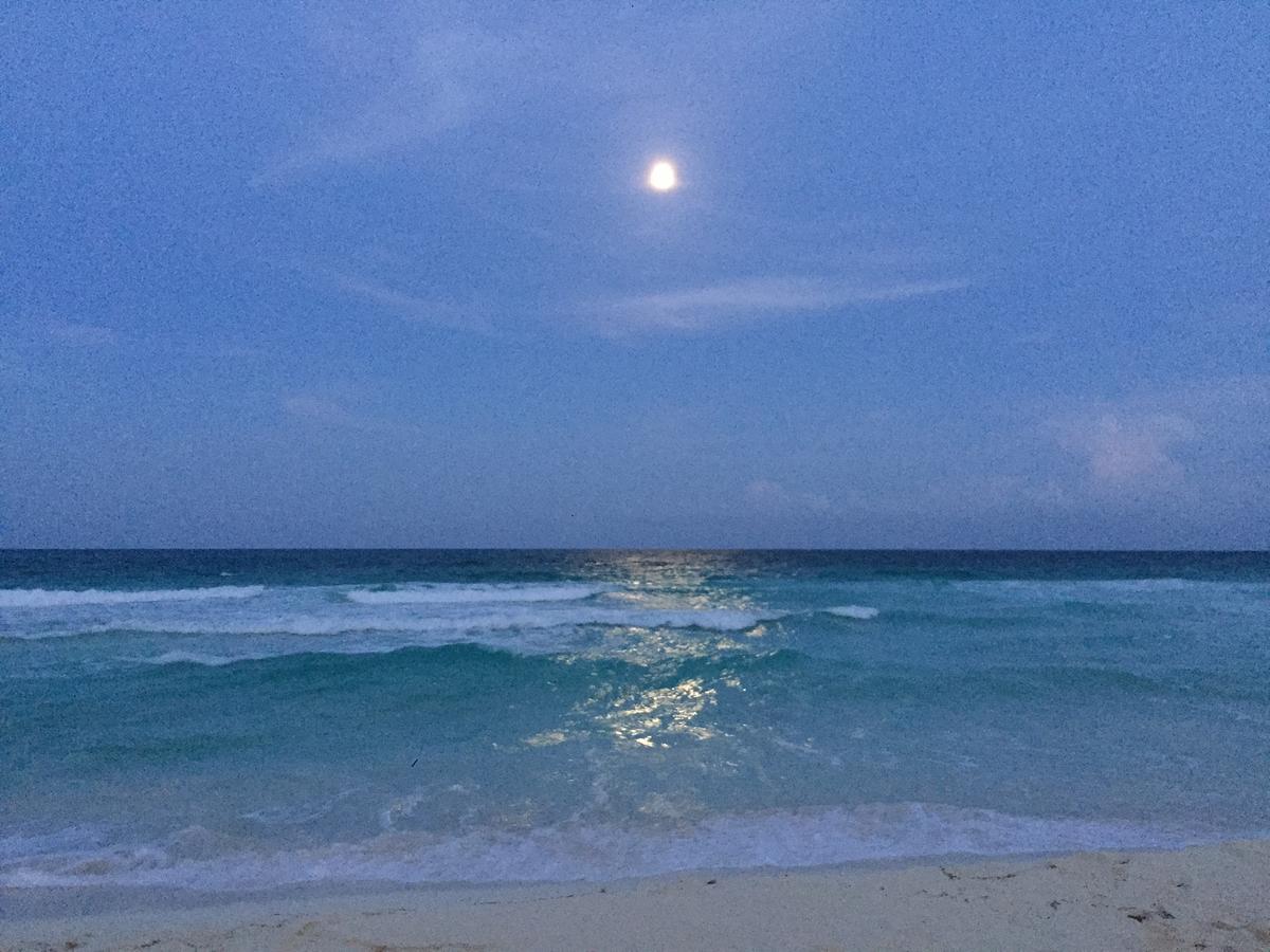 Ocean View Apartment Cancún Eksteriør billede